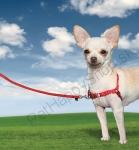 Dopredaj - Postroj pre psa EasyWalk Harness veľ. XS červený