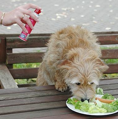 Pet corrector Výcvikový sprej STOP štekaniu 50 ml