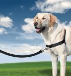 Postroj pre psa EasyWalk Harness veľ. L červený