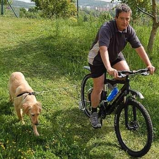 DogRunner Držiak na bicykel pre psov s pružinou
