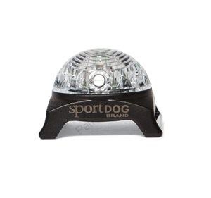  Svetlo na obojok SportDog Beacon biele